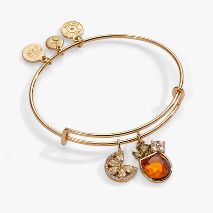 Spritz O'Clock Bangle - Alex and Ani - Front View