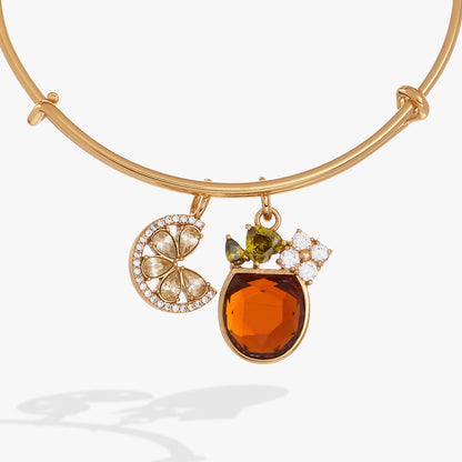 Spritz O'Clock Bangle - Alex and Ani - Side View