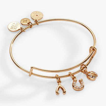 Love and Luck Multi-Charm Bangle - Alex and Ani - Detail View 4