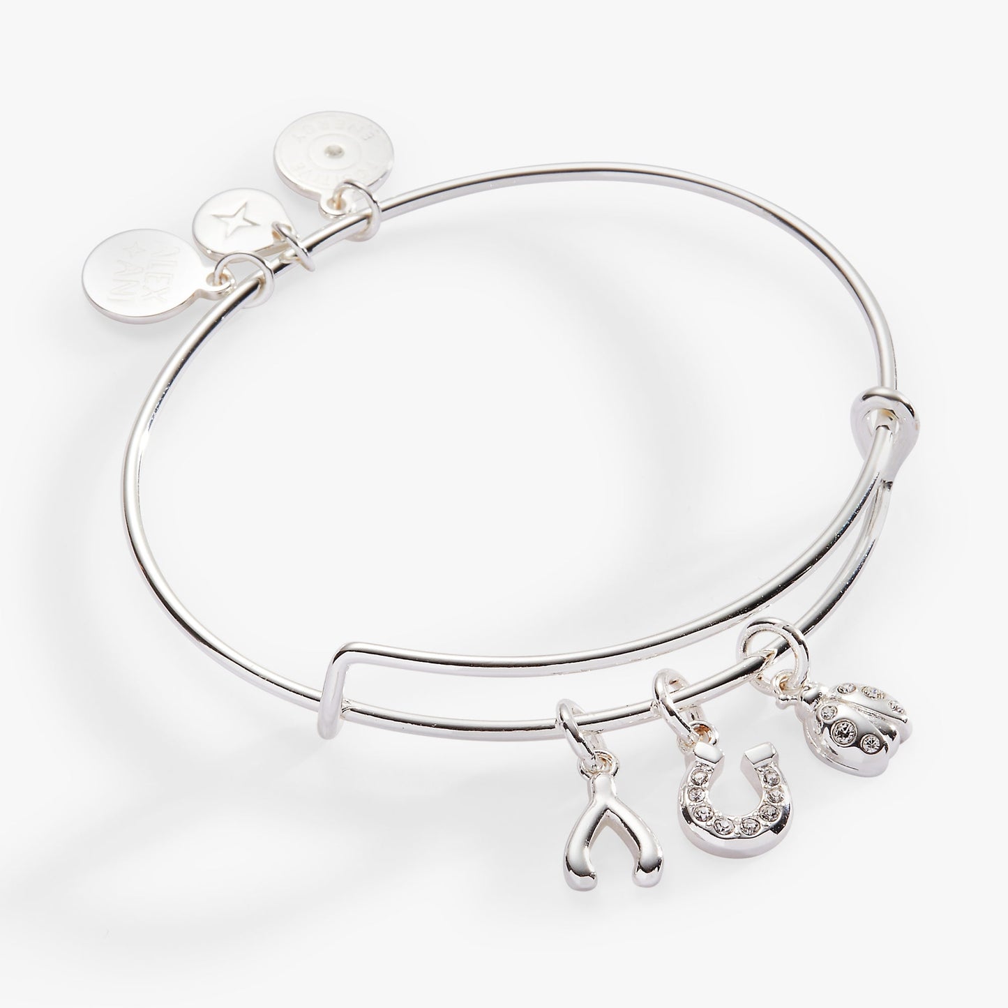 Love and Luck Multi-Charm Bangle - Alex and Ani