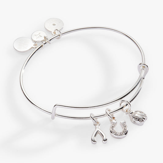 Love and Luck Multi-Charm Bangle - Alex and Ani - Front View