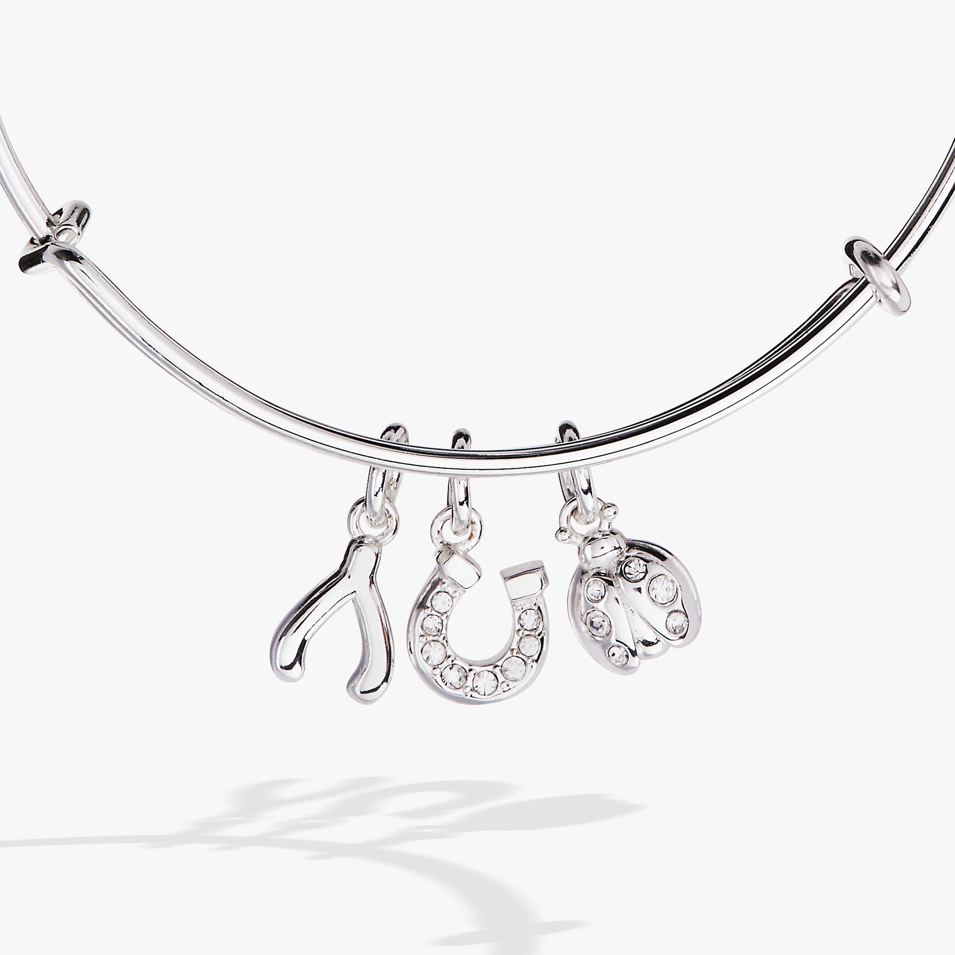 Love and Luck Multi-Charm Bangle - Alex and Ani - Side View