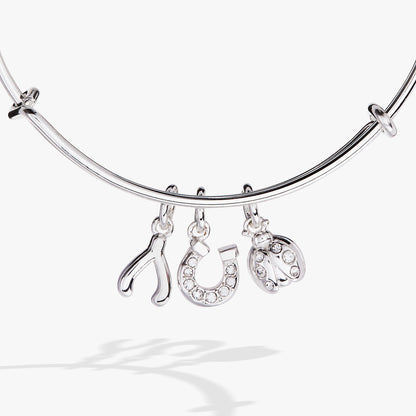 Love and Luck Multi-Charm Bangle - Alex and Ani - Side View