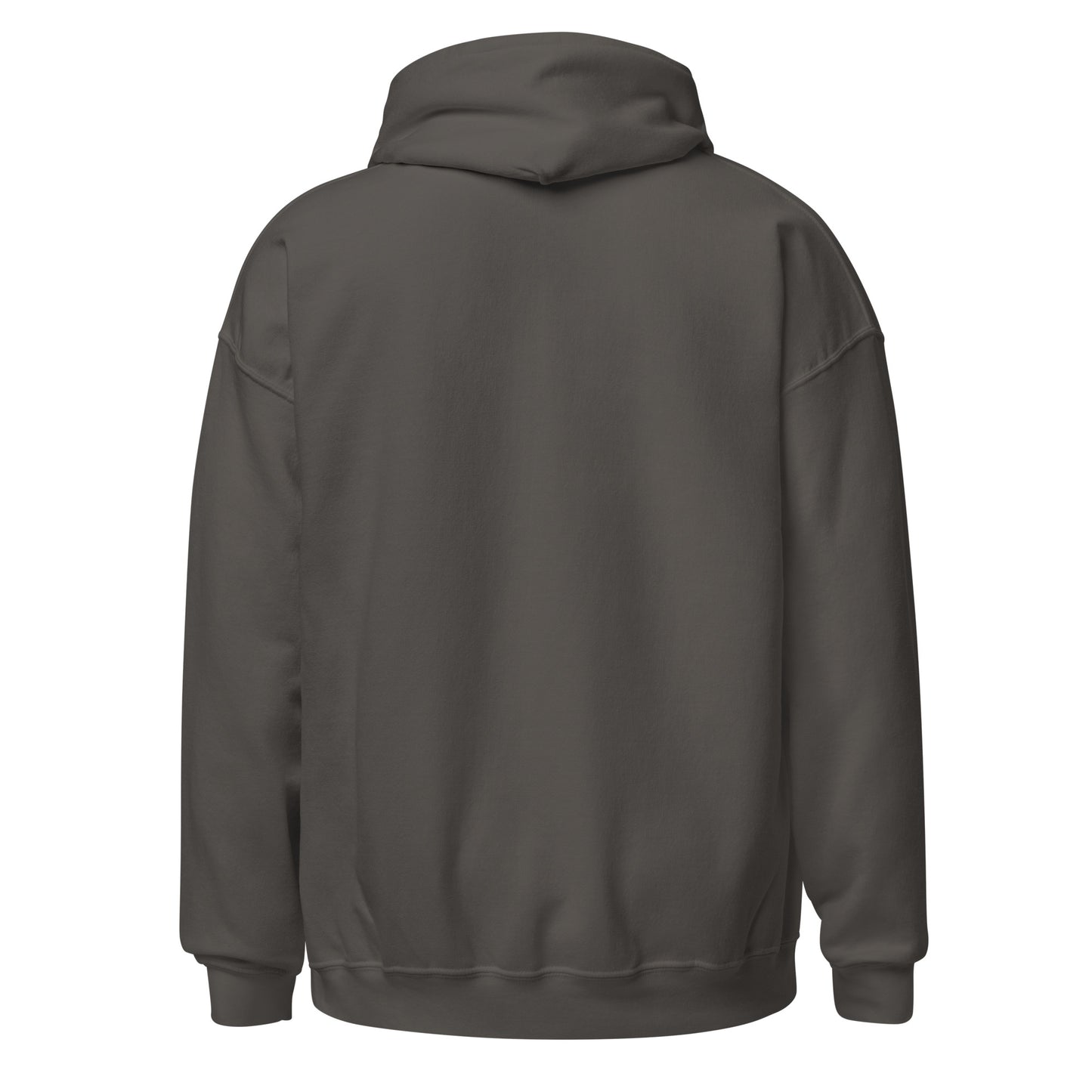 Michigan Unisex Hoodie