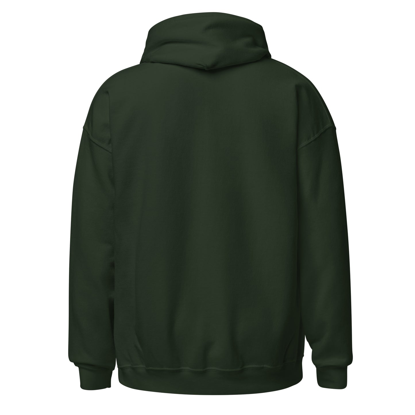 Michigan Unisex Hoodie