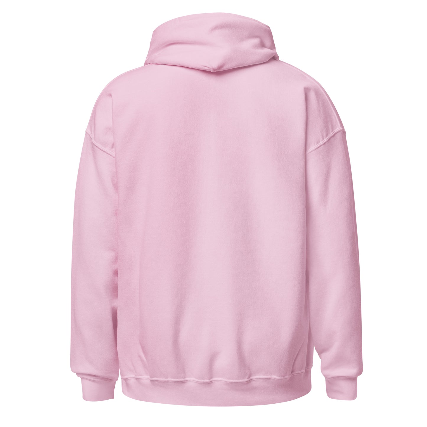 Michigan Unisex Hoodie