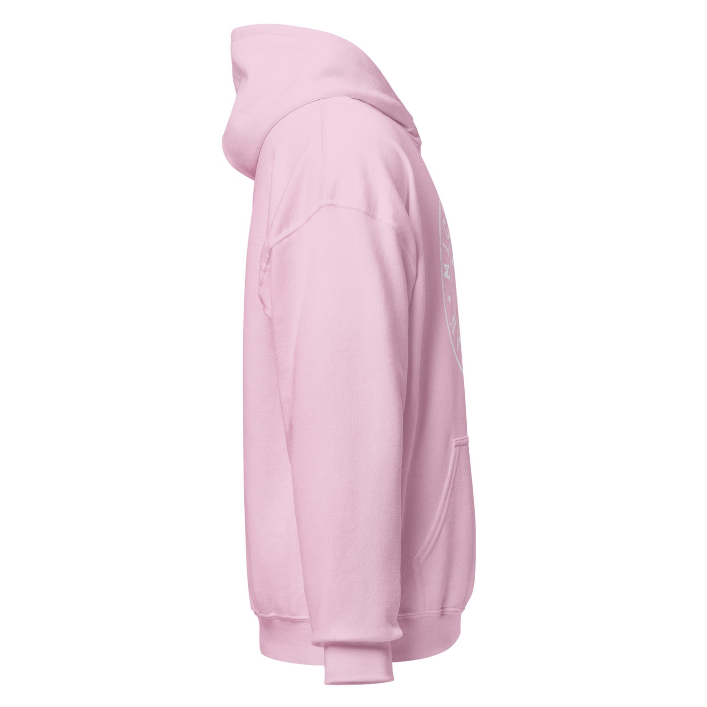Michigan Unisex Hoodie