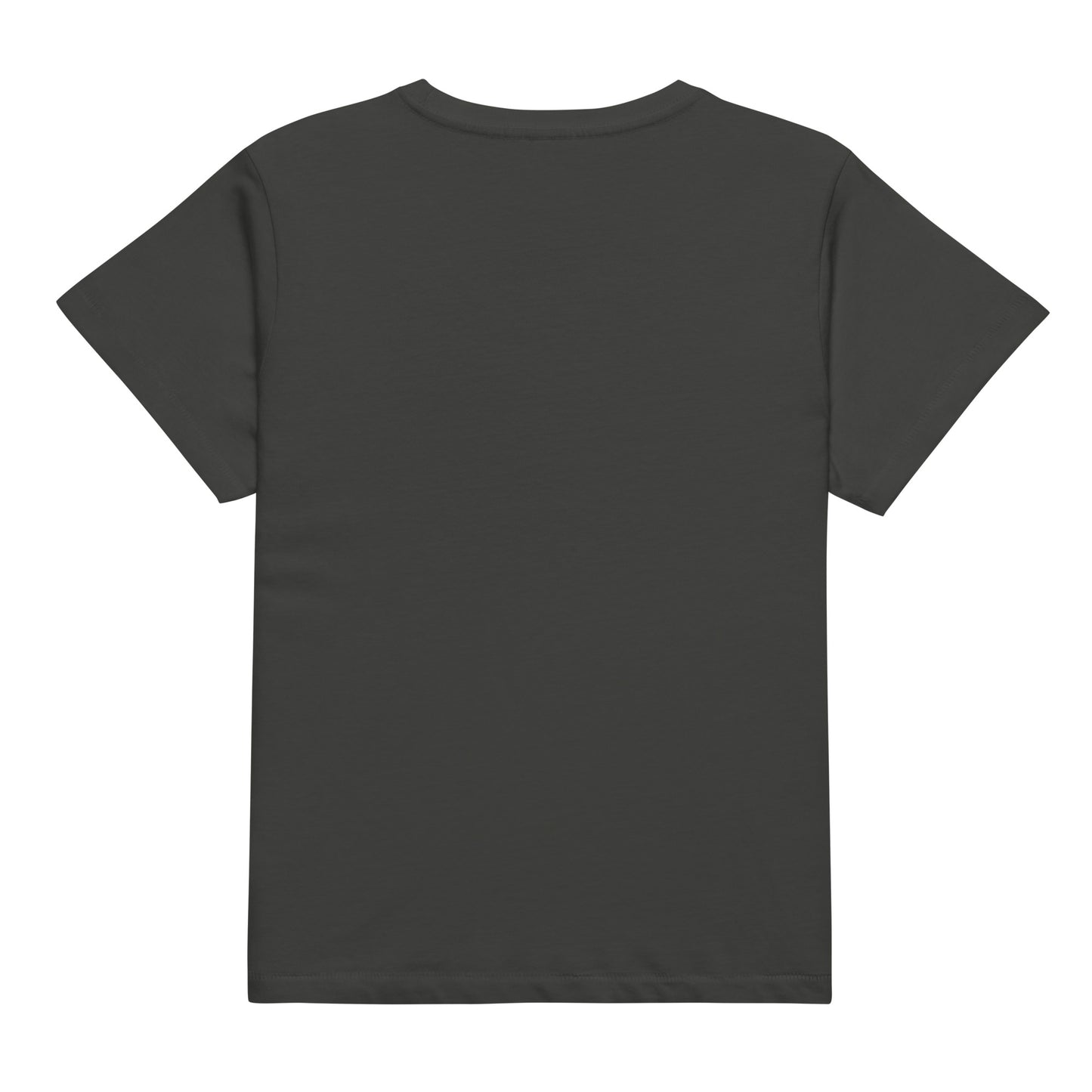 Boldly Michigan | Women’s T-Shirt