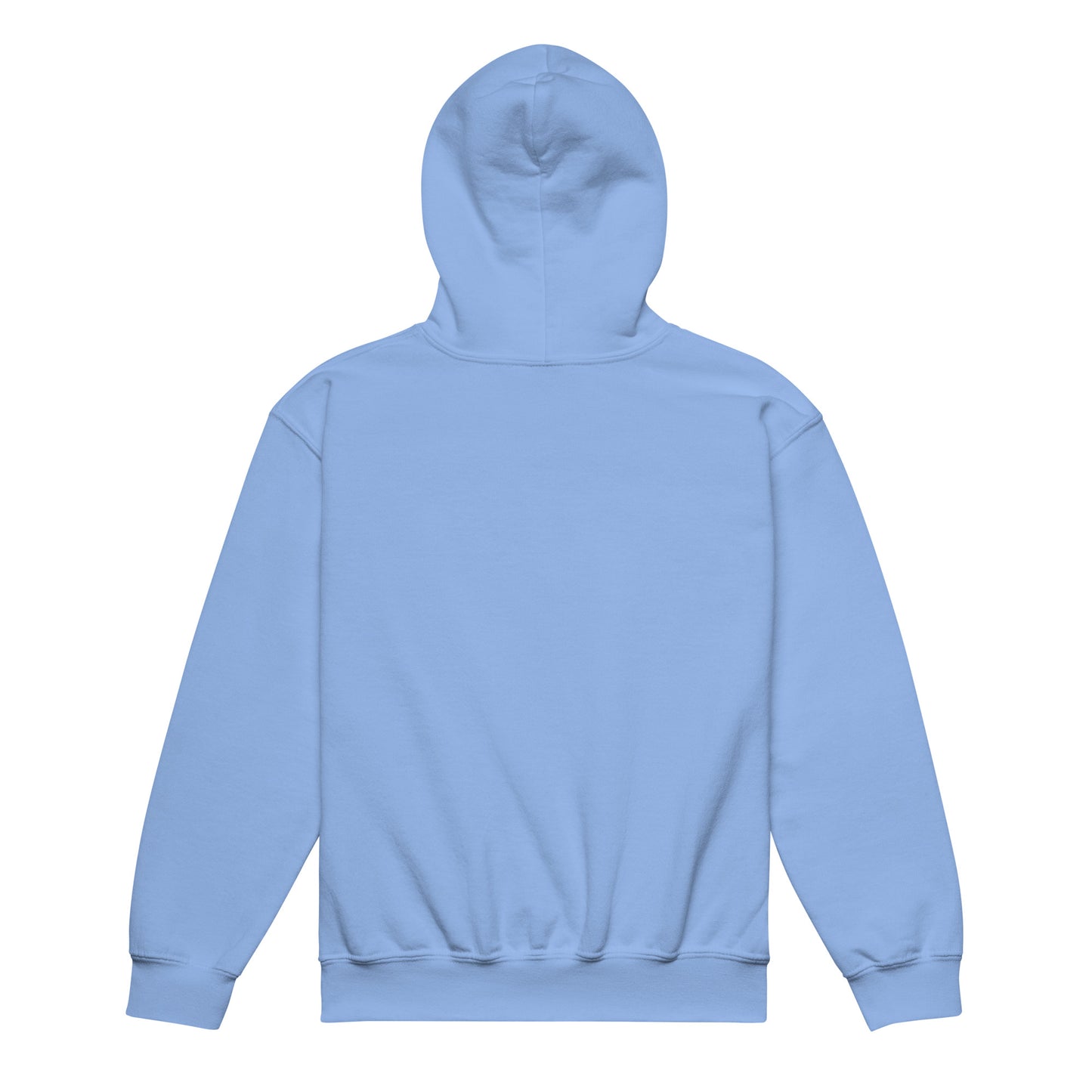Michigan Youth Hoodie